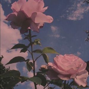 Meet your Posher, Akshaya